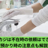 タスカジ不在時