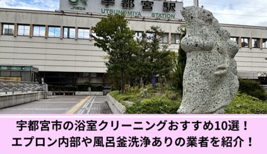 宇都宮市の浴室クリーニングおすすめ10選！エプロン内部や風呂釜洗浄ありの業者を紹介！