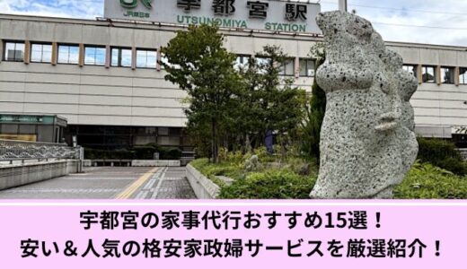 宇都宮の家事代行おすすめ15選！安い＆人気の格安家政婦サービスを厳選紹介！