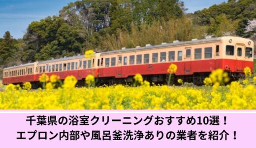 千葉県の浴室クリーニングおすすめ10選！エプロン内部や風呂釜洗浄ありの業者を紹介！