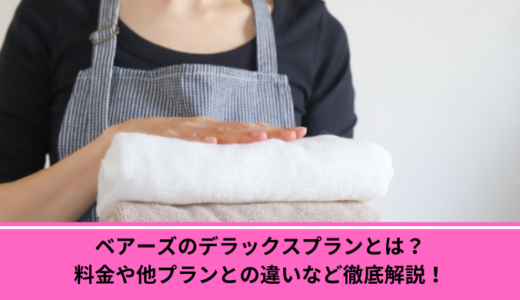 ベアーズのデラックスプランとは？料金や他プランとの違いなど徹底解説！